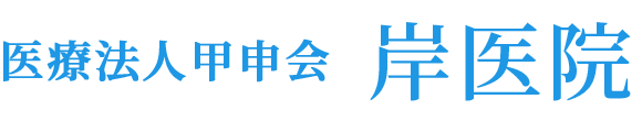 医療法人甲申会岸医院 延岡市本小路 延岡駅 内科 消化器内科